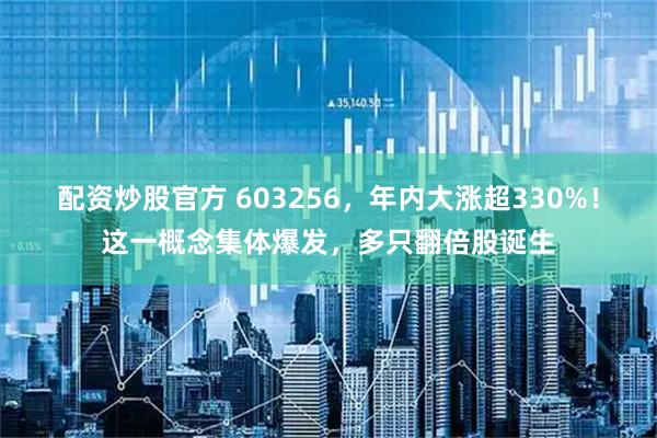 配资炒股官方 603256，年内大涨超330%！这一概念集体爆发，多只翻倍股诞生